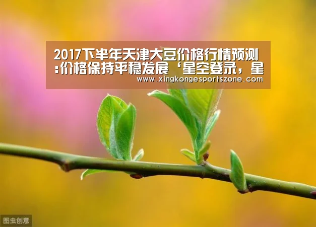 星空登录，星空体育，星空真人，星空电竞