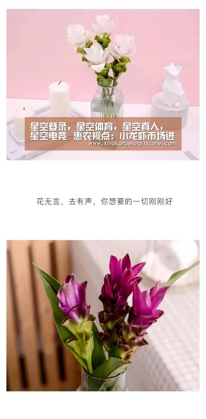 星空登录，星空体育，星空真人，星空电竞