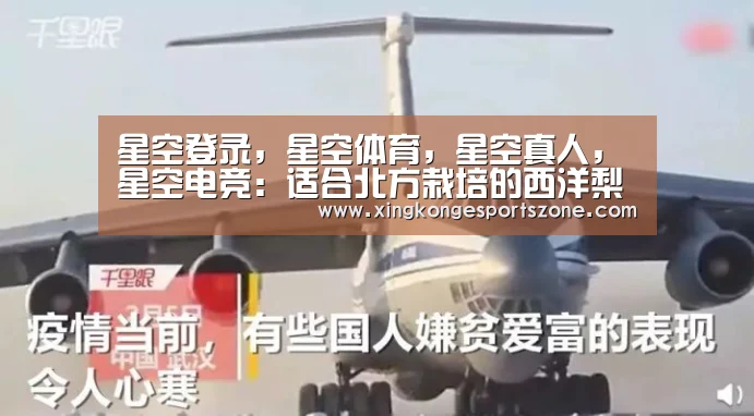 星空登录，星空体育，星空真人，星空电竞