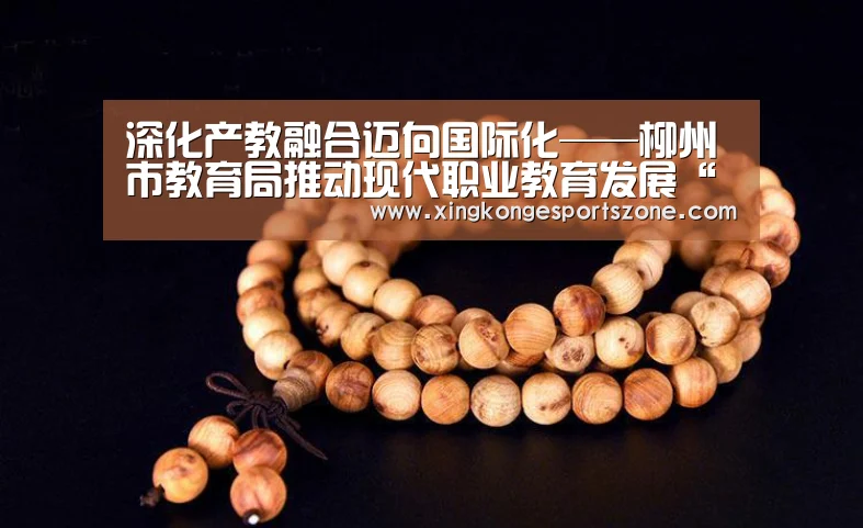 深化产教融合迈向国际化——柳州市教育局推动现代职业教育发展“星空登录,星空体育,星空真人,星空电竞”(图1) 星空登录,星空体育,星空真人,星空电竞