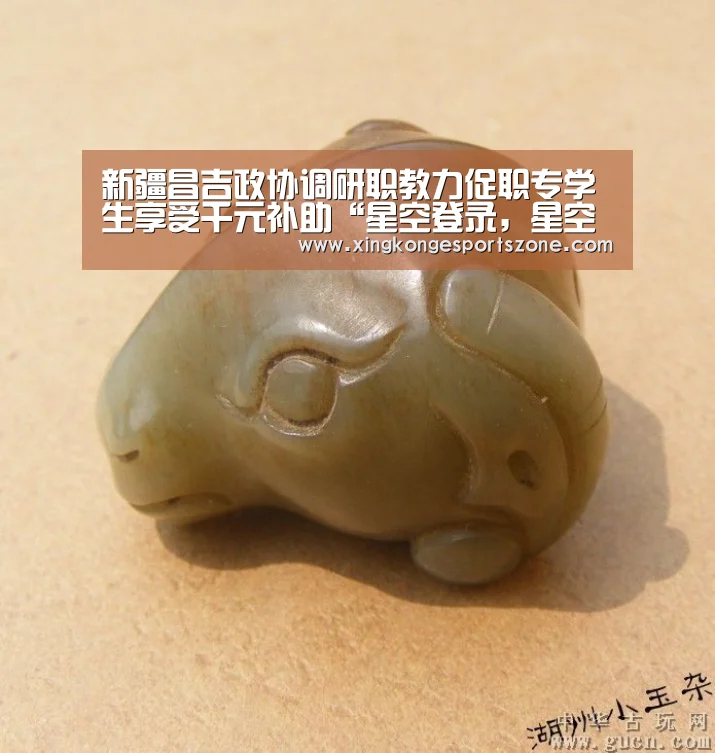 新疆昌吉政协调研职教力促职专学生享受千元补助“星空登录,星空体育,星空真人,星空电竞”(图1) 星空登录,星空体育,星空真人,星空电竞