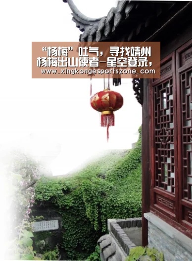“杨梅”吐气,寻找靖州杨梅出山使者-星空登录,星空体育,星空真人,星空电竞(图2) 星空登录,星空体育,星空真人,星空电竞
