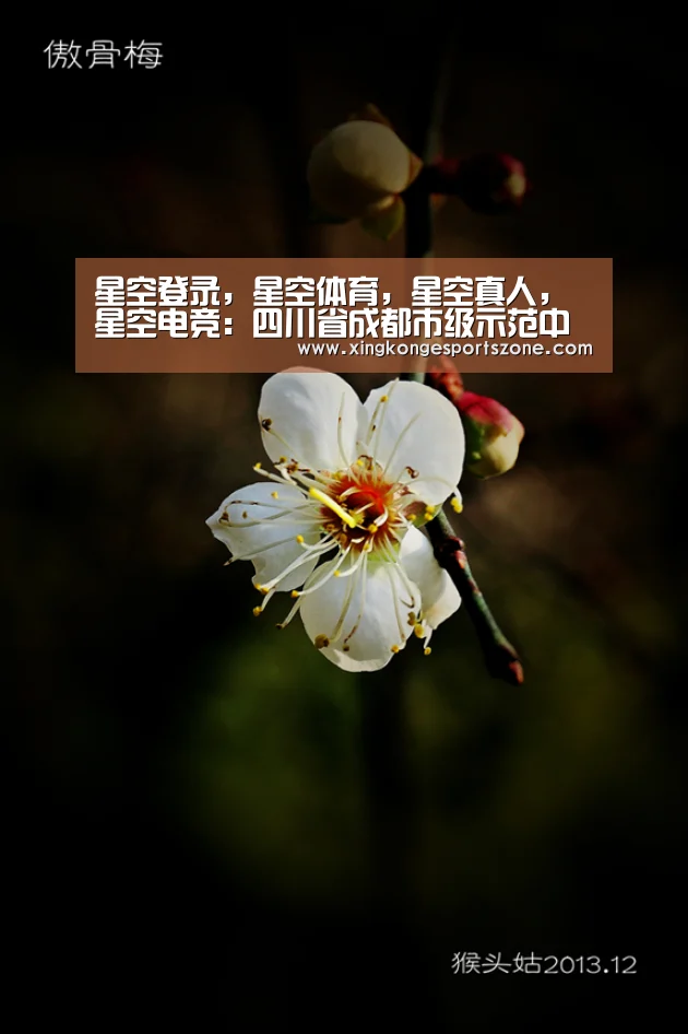 星空登录,星空体育,星空真人,星空电竞:四川省成都市级示范中职校开始进行“初诊”(图1) 星空登录,星空体育,星空真人,星空电竞