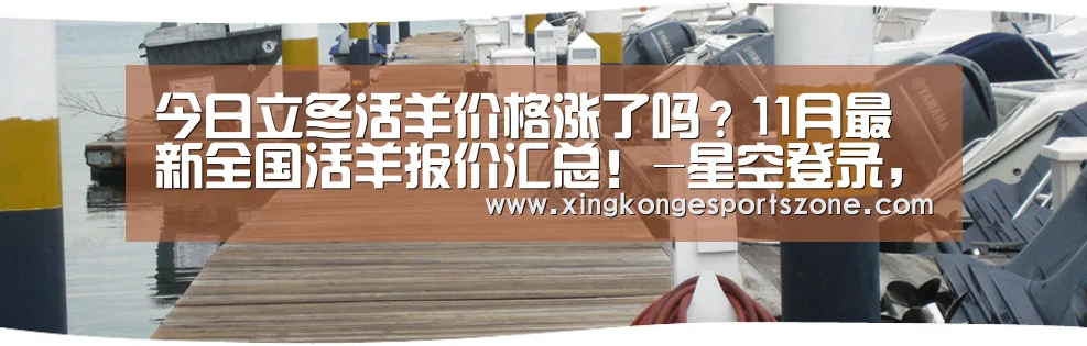 今日立冬活羊价格涨了吗?11月最新全国活羊报价汇总!-星空登录,星空体育,星空真人,星空电竞(图4) 星空登录,星空体育,星空真人,星空电竞