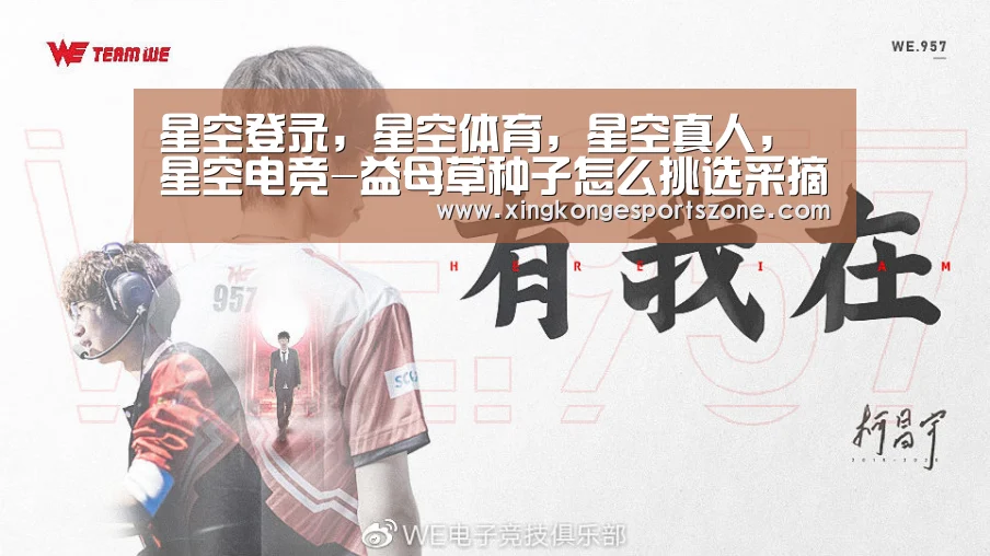 星空登录，星空体育，星空真人，星空电竞