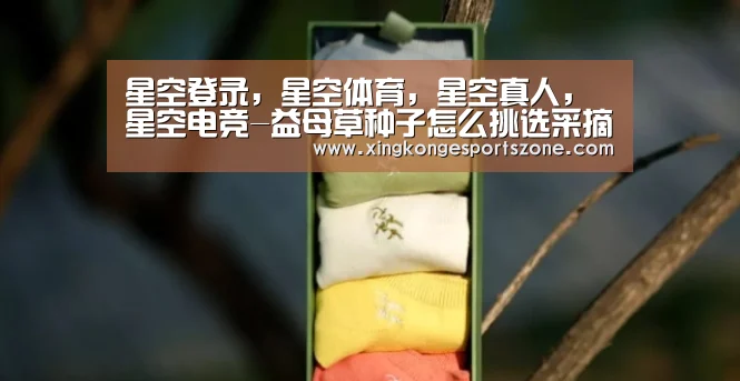 星空登录，星空体育，星空真人，星空电竞
