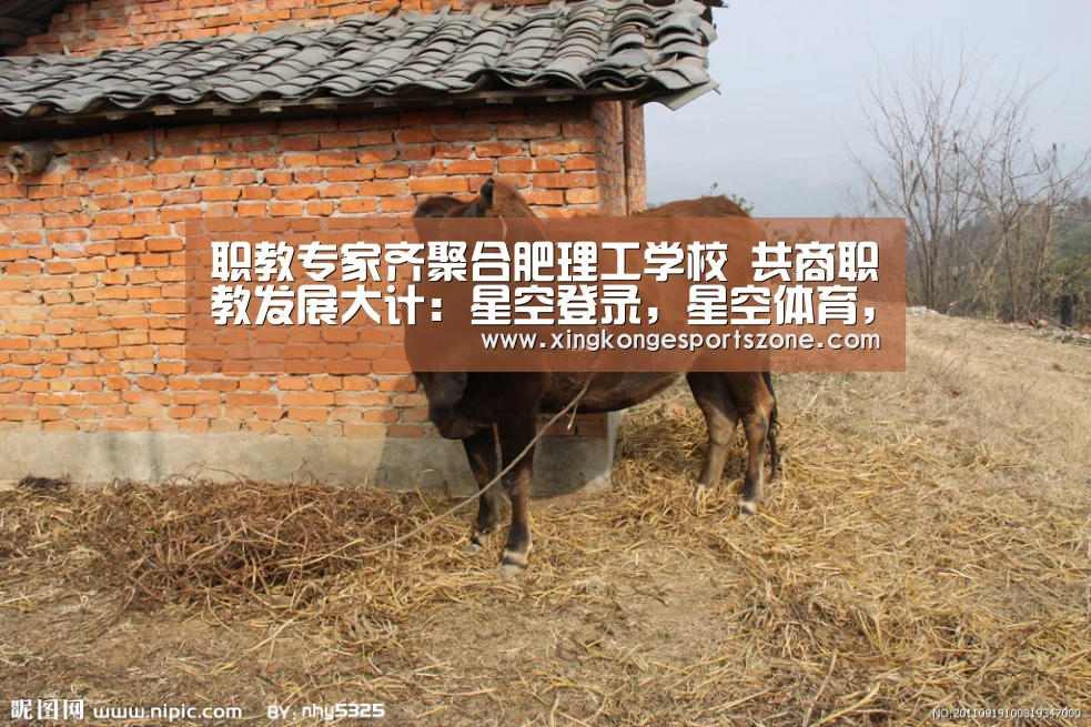 职教专家齐聚合肥理工学校 共商职教发展大计:星空登录,星空体育,星空真人,星空电竞(图2) 星空登录,星空体育,星空真人,星空电竞