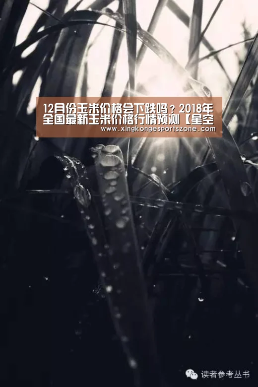 星空登录，星空体育，星空真人，星空电竞