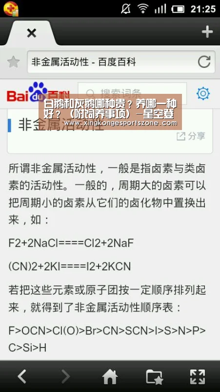 白鹅和灰鹅哪种贵?养哪一种好?(附饲养事项)-星空登录,星空体育,星空真人,星空电竞(图1) 星空登录,星空体育,星空真人,星空电竞