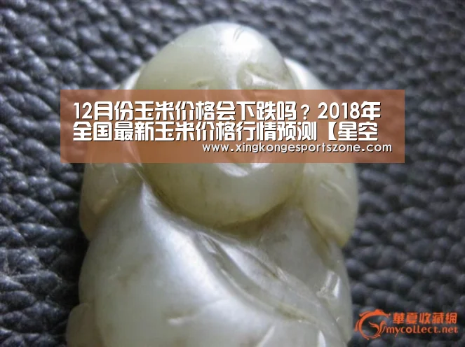 星空登录，星空体育，星空真人，星空电竞