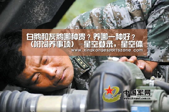 白鹅和灰鹅哪种贵?养哪一种好?(附饲养事项)-星空登录,星空体育,星空真人,星空电竞(图4) 星空登录,星空体育,星空真人,星空电竞
