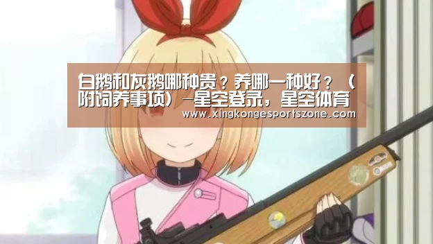 白鹅和灰鹅哪种贵?养哪一种好?(附饲养事项)-星空登录,星空体育,星空真人,星空电竞(图3) 星空登录,星空体育,星空真人,星空电竞