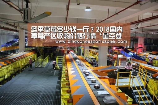 冬季草莓多少钱一斤?2018国内草莓产区收购价格行情‘星空登录,星空体育,星空真人,星空电竞’(图1) 星空登录,星空体育,星空真人,星空电竞
